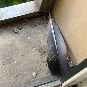 欧美大片❌❌❌🔞
