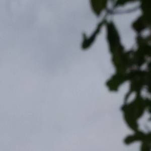 欧美大片❌❌❌🔞
